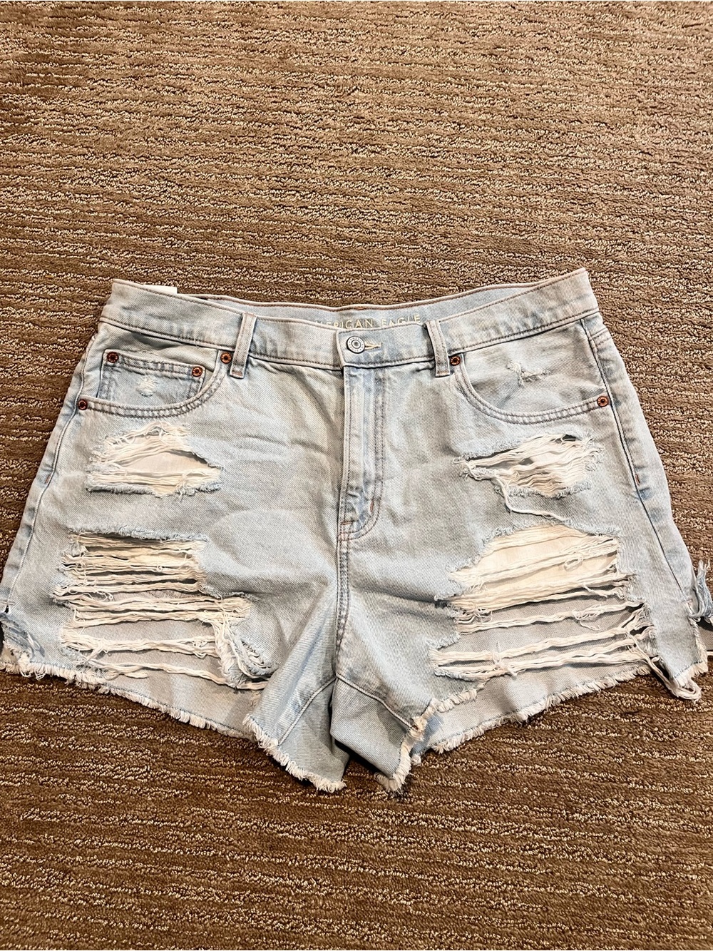 Light Wash Jean Shorts